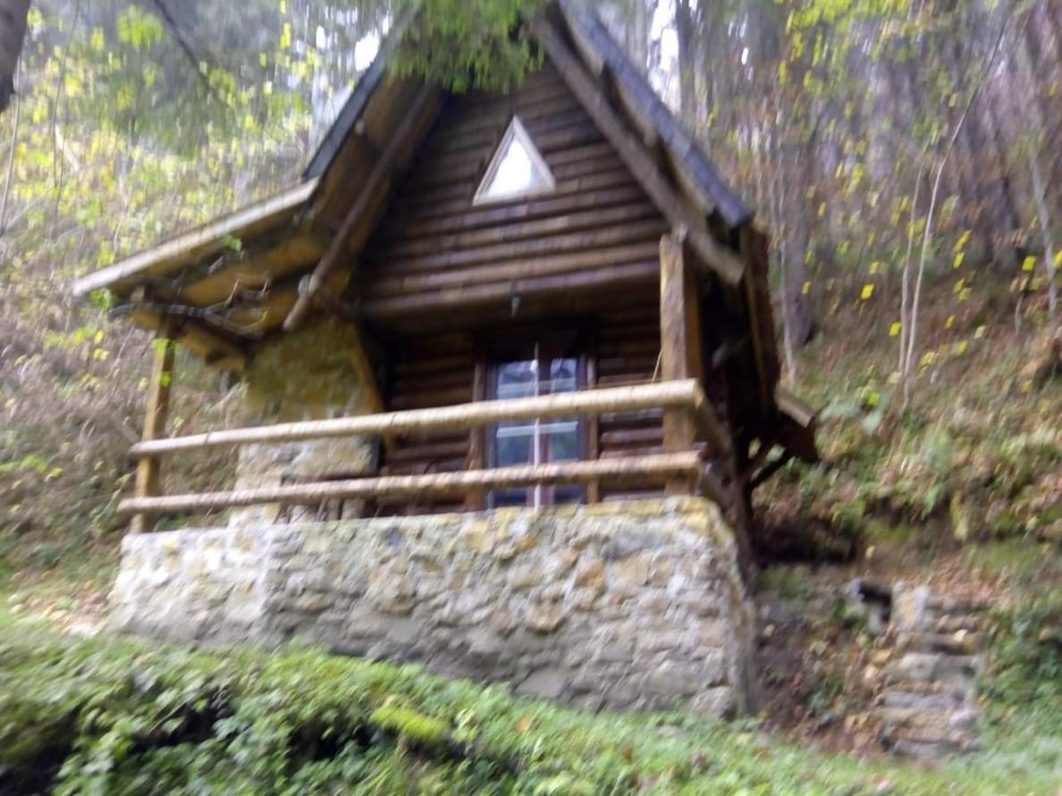 Holiday Park Zelenkovac Podrasnica 외부 사진