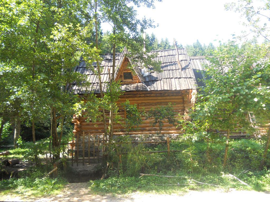 Holiday Park Zelenkovac Podrasnica 외부 사진