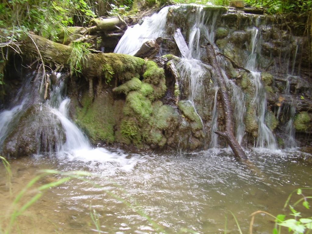Holiday Park Zelenkovac Podrasnica 외부 사진
