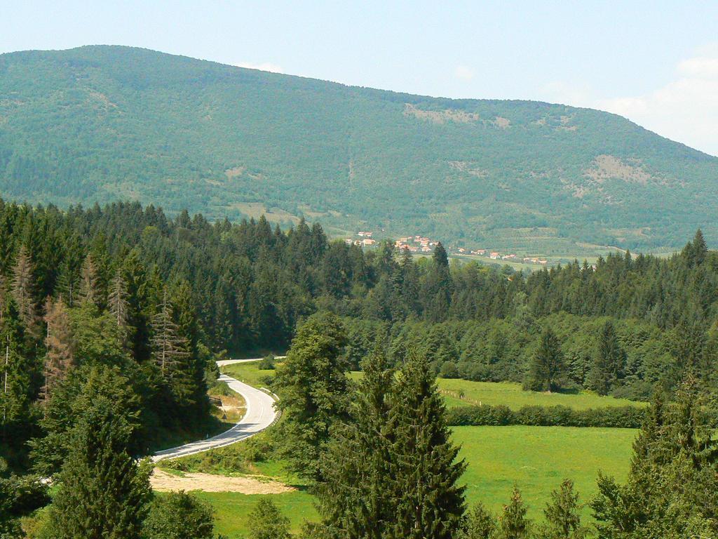 Holiday Park Zelenkovac Podrasnica 외부 사진