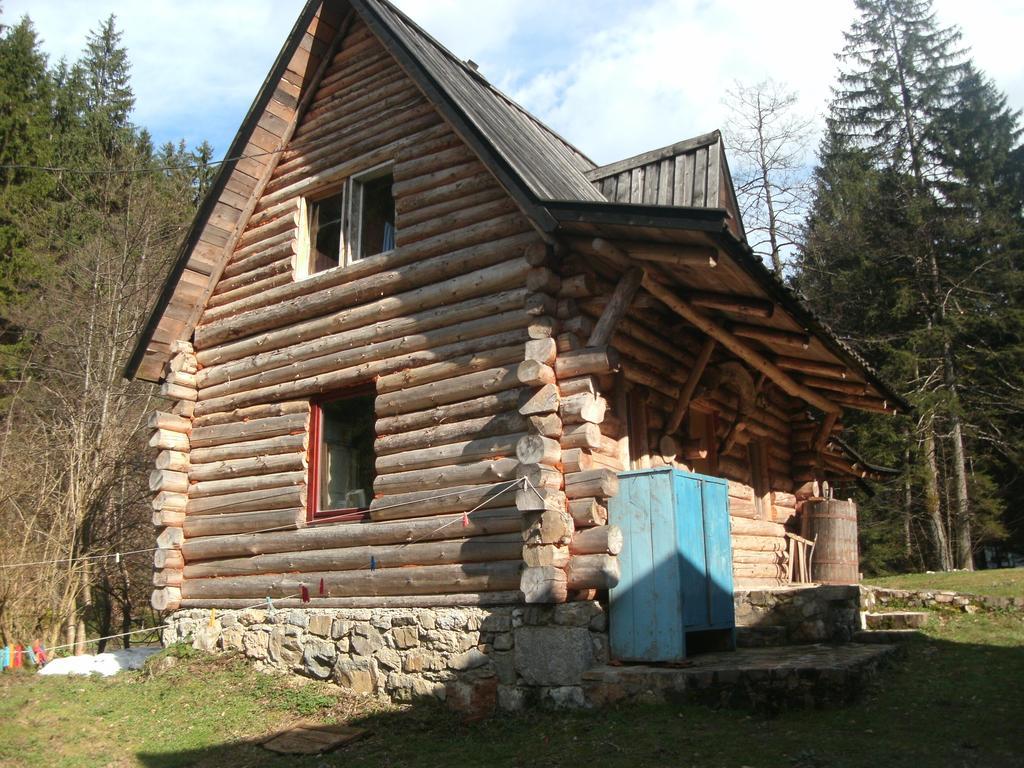 Holiday Park Zelenkovac Podrasnica 외부 사진
