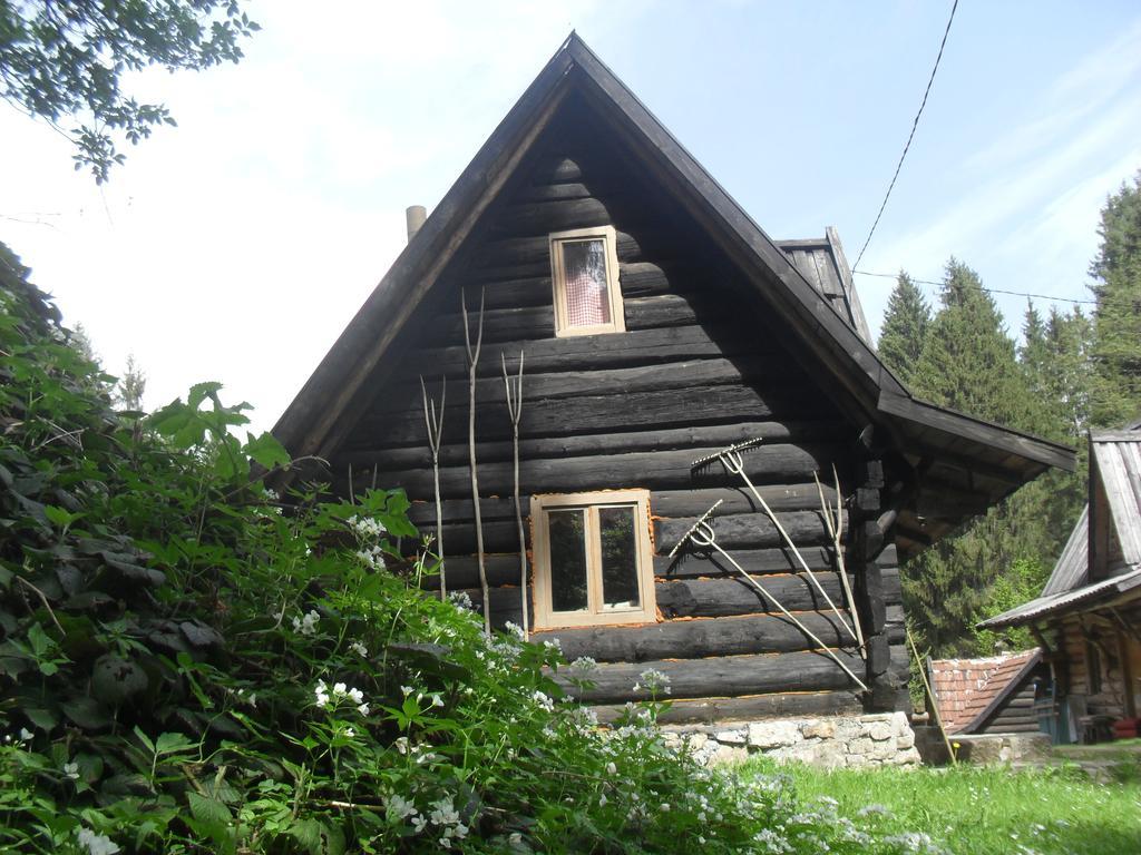 Holiday Park Zelenkovac Podrasnica 외부 사진